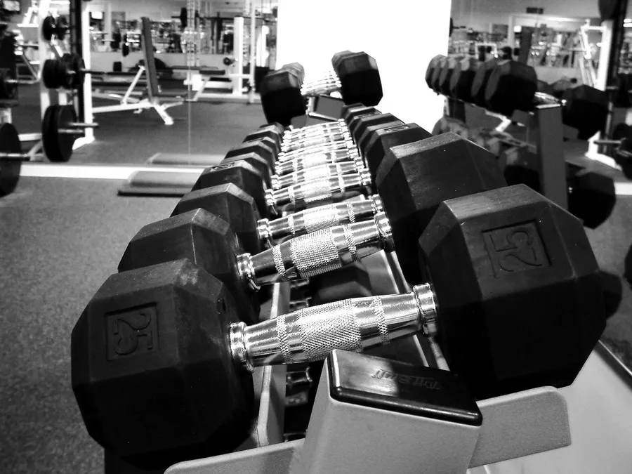 Musculación
